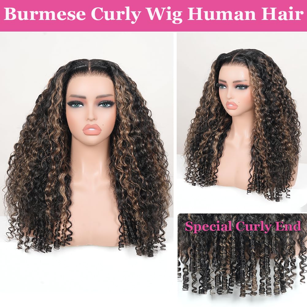 Defined Curls F1B/30 Highlight Ombre Burmese Curly Glueless Wig | 13x6 Lace Front