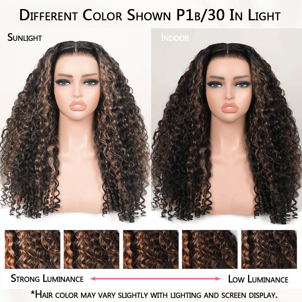 Defined Curls F1B/30 Highlight Ombre Burmese Curly Glueless Wig | 13x6 Lace Front