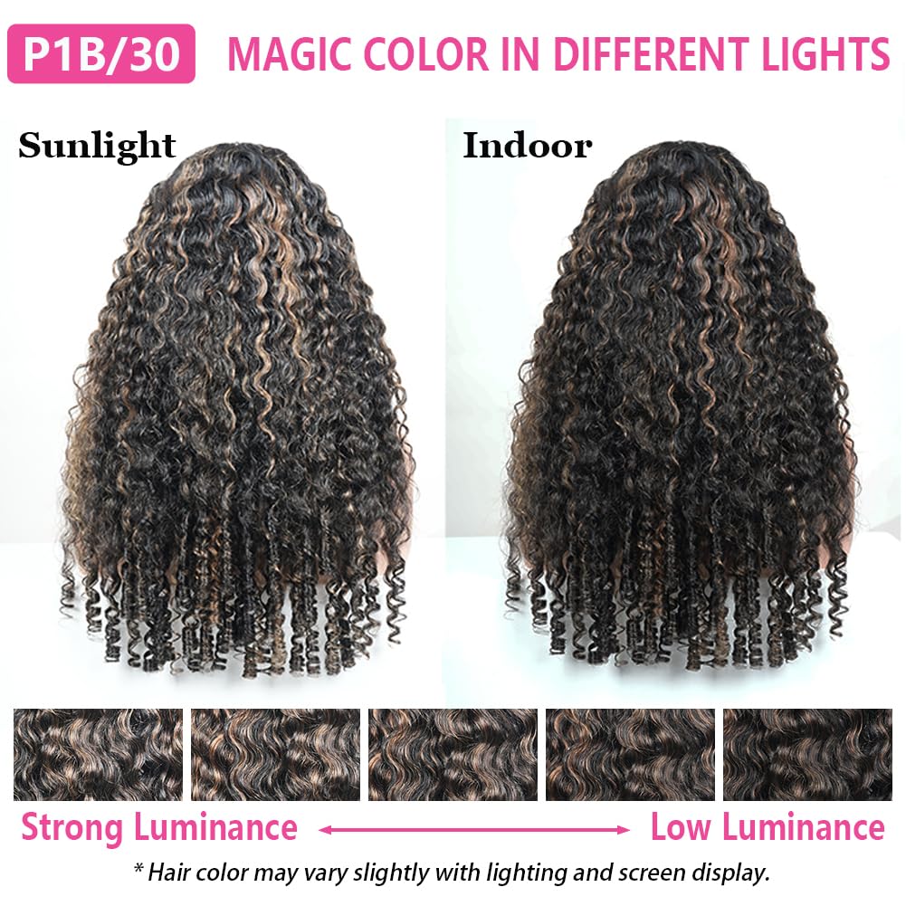 Defined Curls F1B/30 Highlight Ombre Burmese Curly Glueless Wig | 13x6 Lace Front